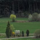 Der Weg in den dunklen Wald