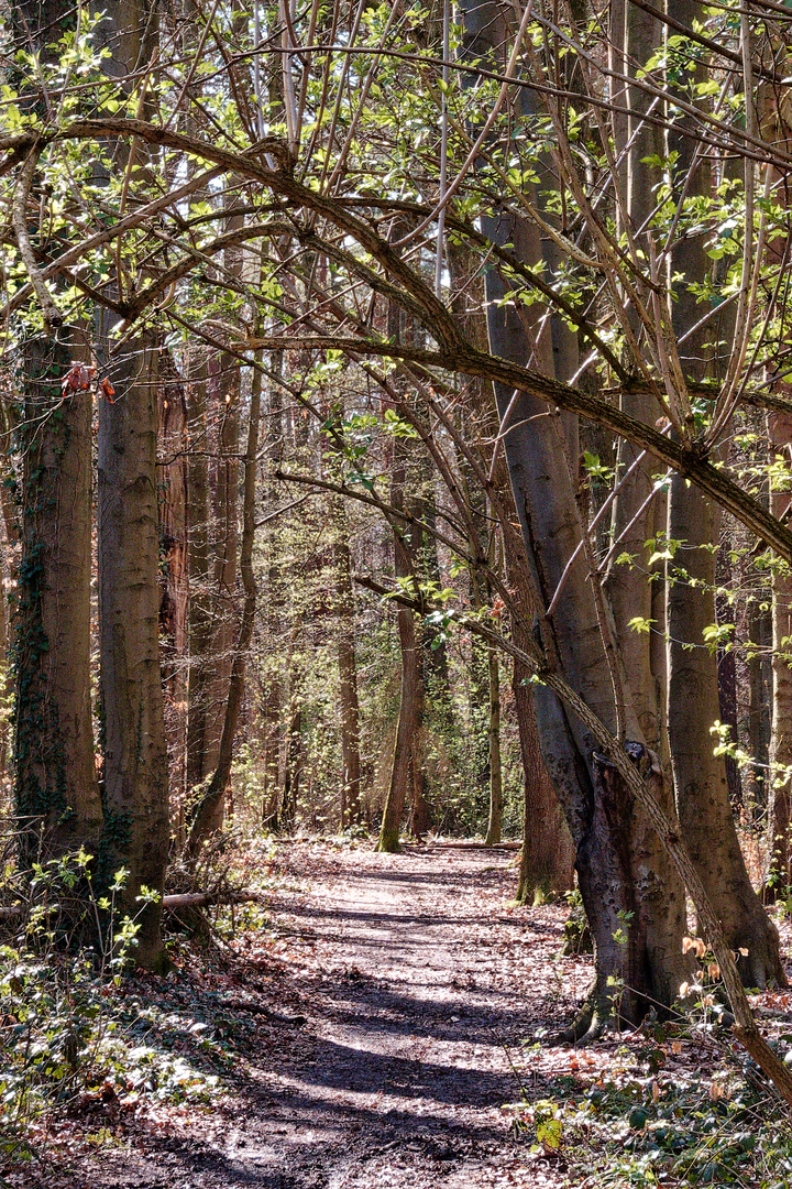 Der Weg in den Frühling