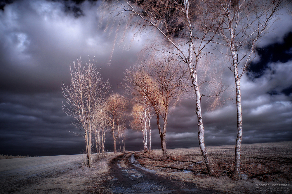 der Weg in den Frühling