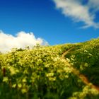 der Weg in den Frühling