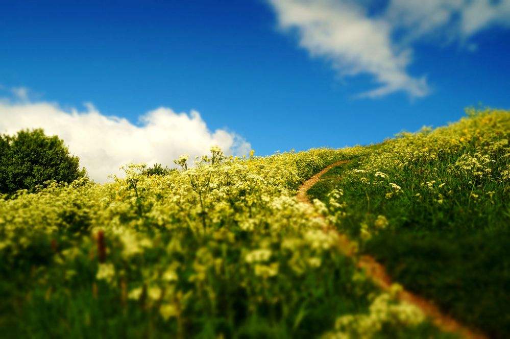 der Weg in den Frühling