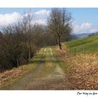 Der Weg in den Frühling