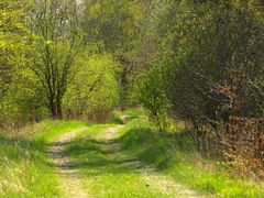 Der Weg in den Frühling