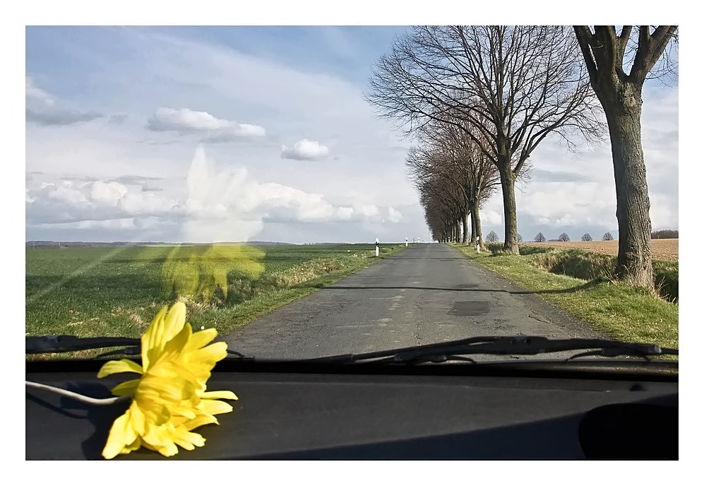 der weg in den frühling....