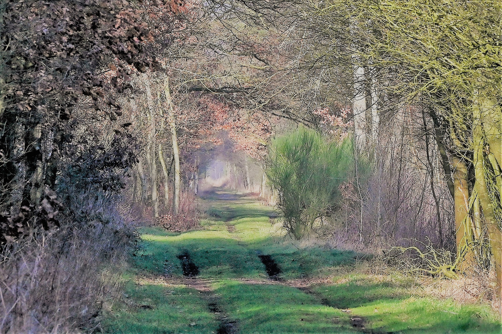 Der Weg in den Frühling