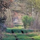 Der Weg in den Frühling