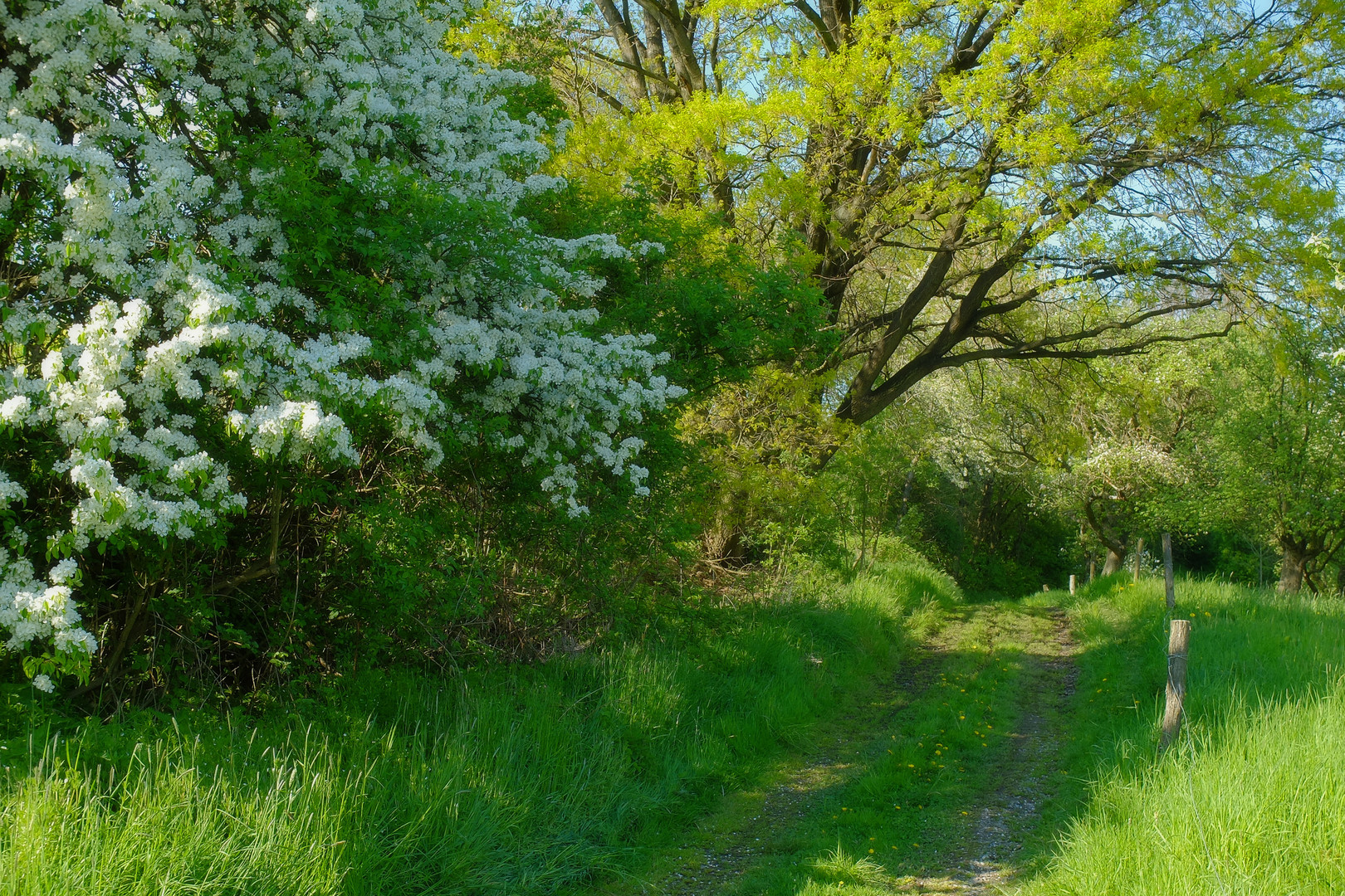 Der Weg in den Frühling...