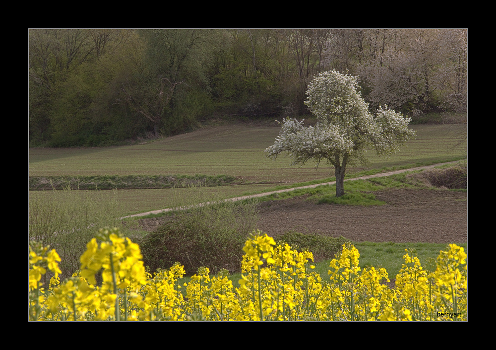 Der Weg in den Frühling