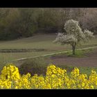 Der Weg in den Frühling