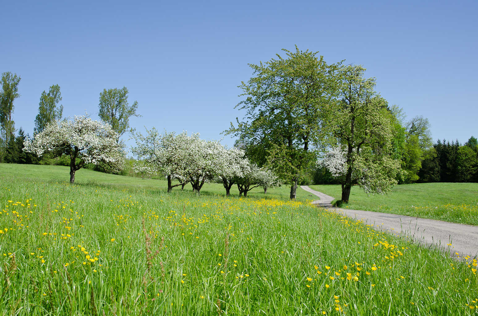 Der Weg in den Frühling