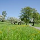 Der Weg in den Frühling