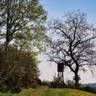 der Weg in den Frühling