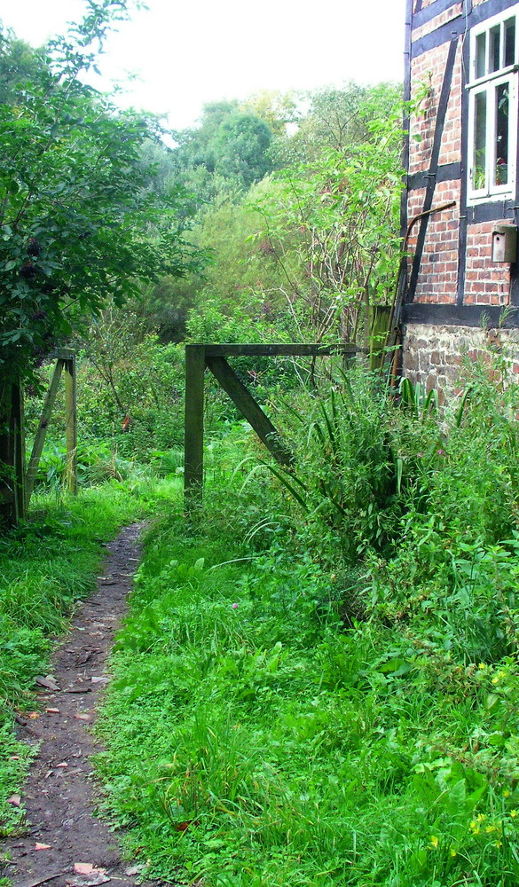 Der Weg in den Garten