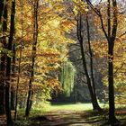 Der Weg in den Herbst