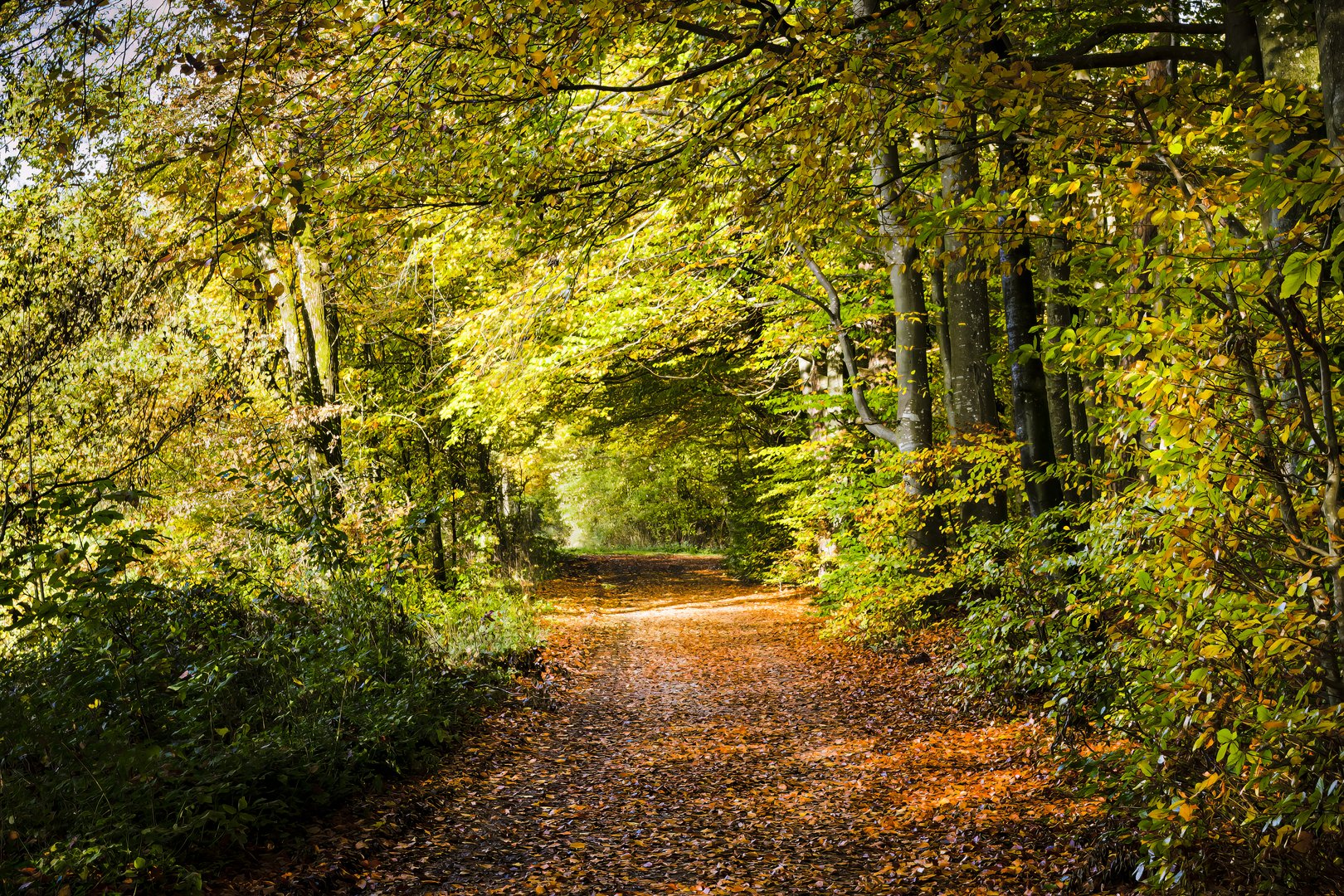 Der Weg in den Herbst