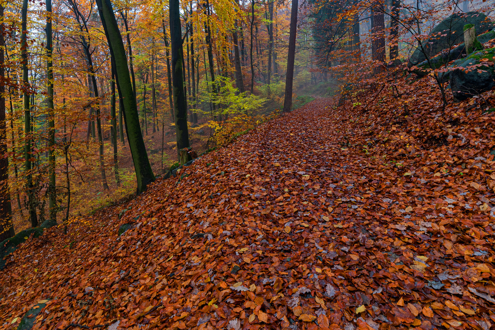 Der Weg in den Herbst