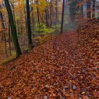 Der Weg in den Herbst