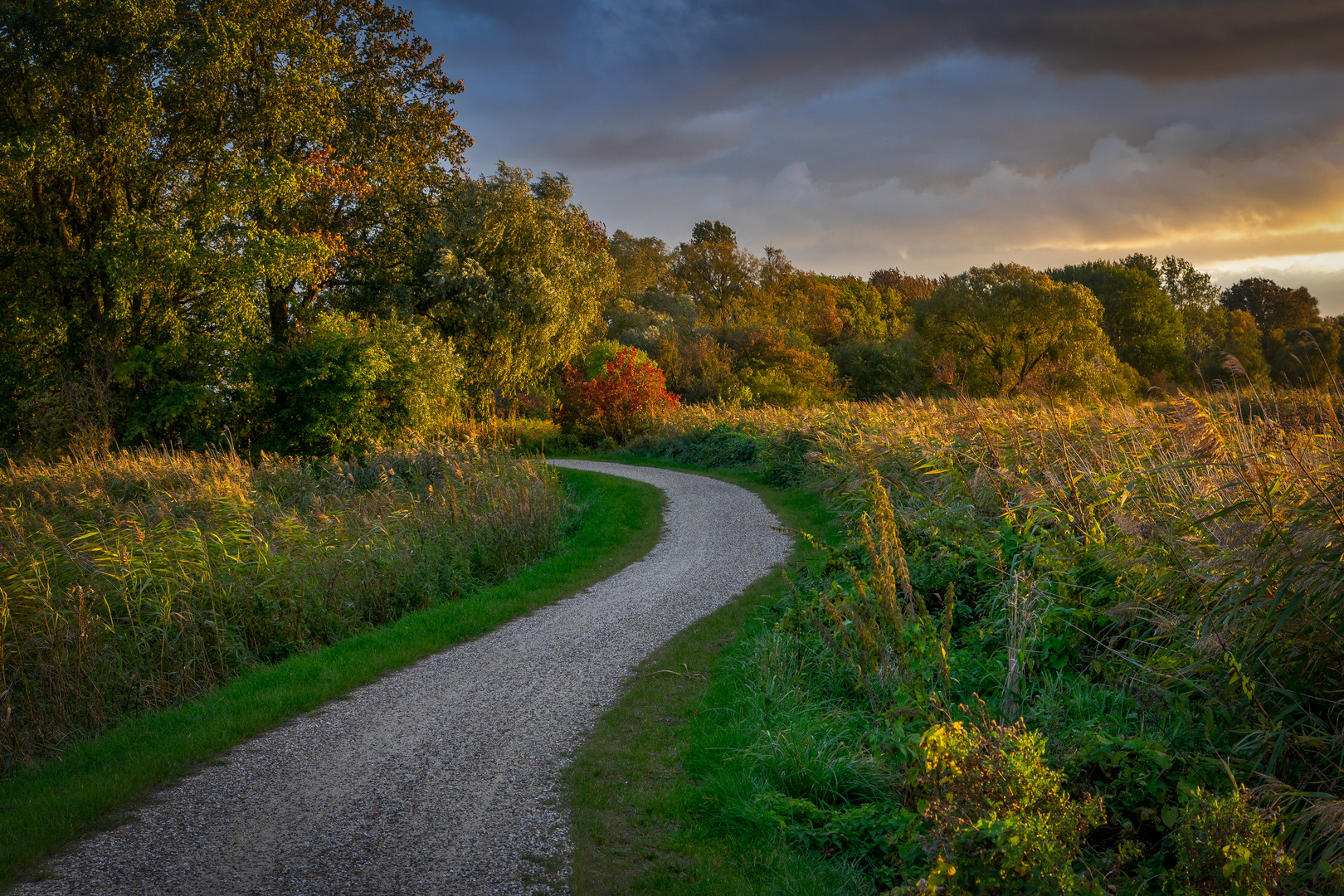 Der Weg in den Herbst 