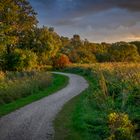 Der Weg in den Herbst 