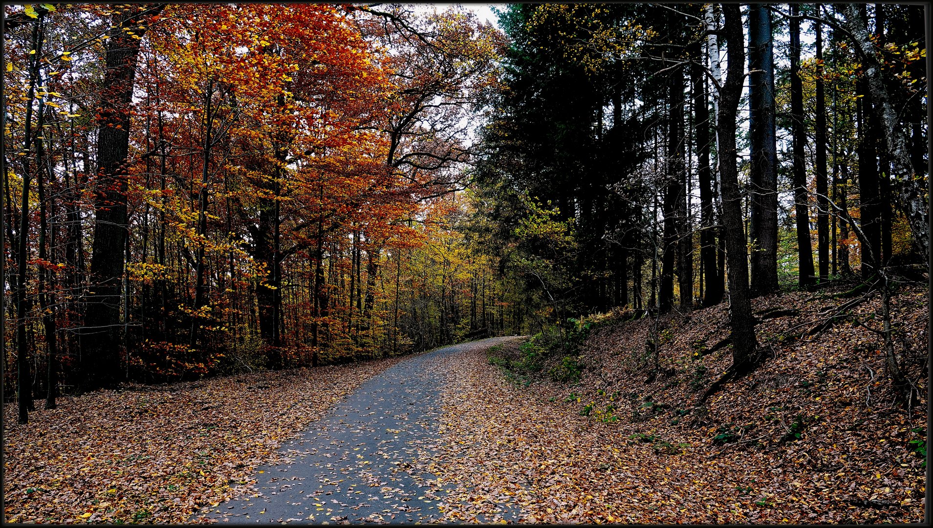 Der Weg in den Herbst ...