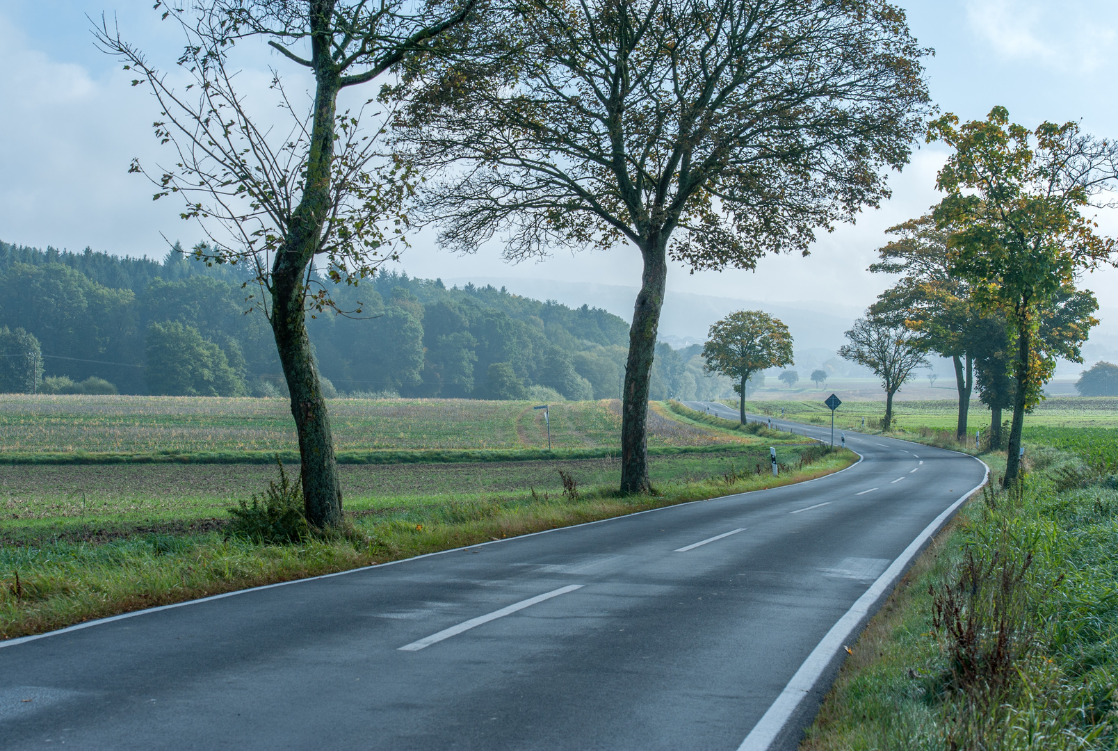 Der Weg in den Herbst