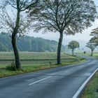 Der Weg in den Herbst