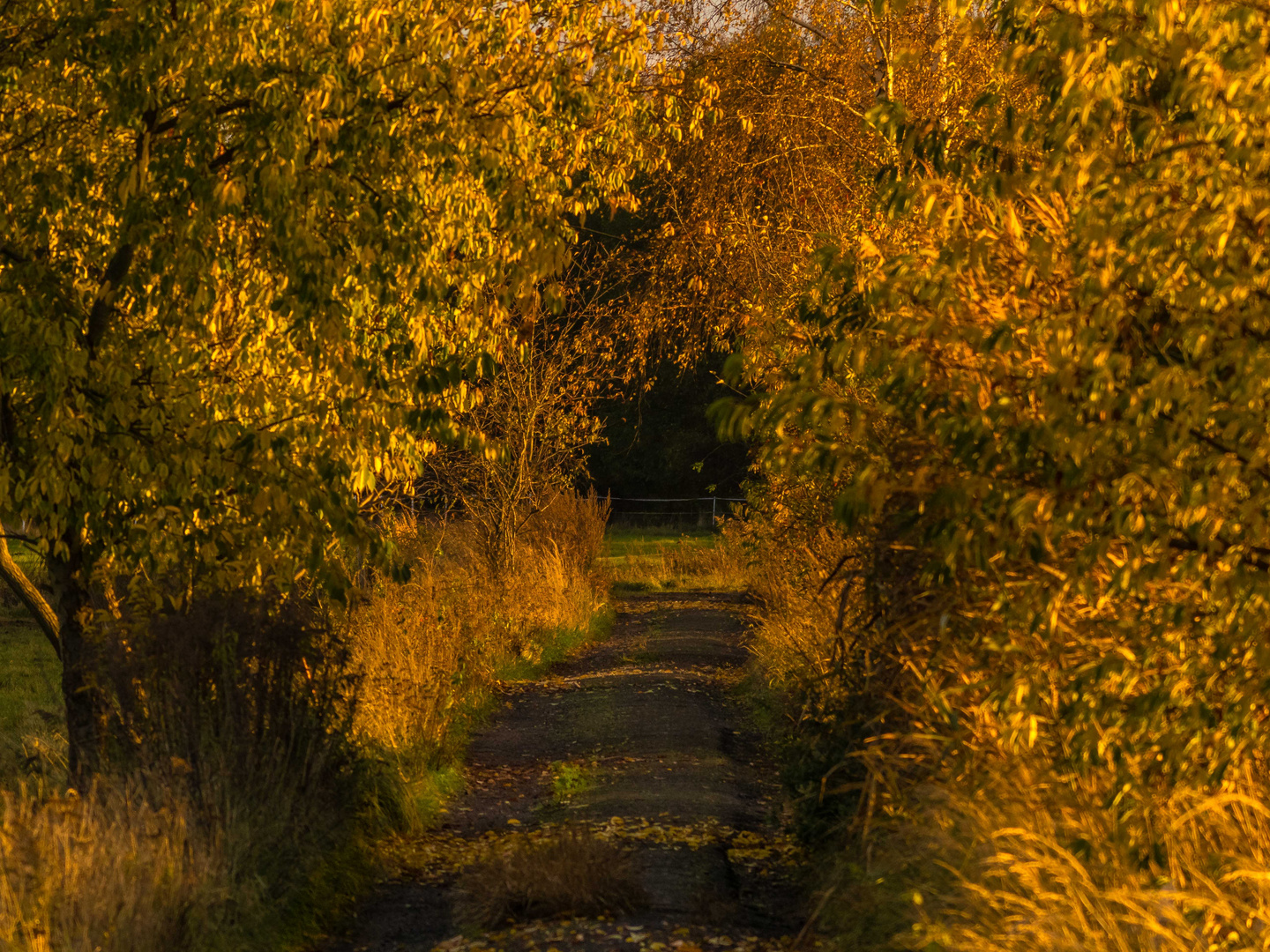 Der Weg in den Herbst