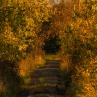 Der Weg in den Herbst