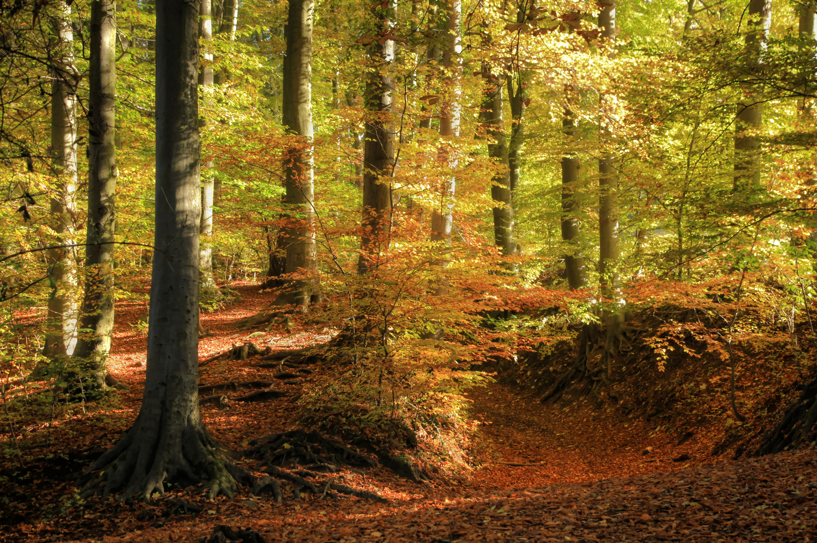 Der Weg in den Herbst