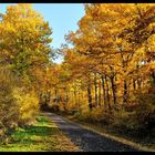 - Der Weg in den Herbst -