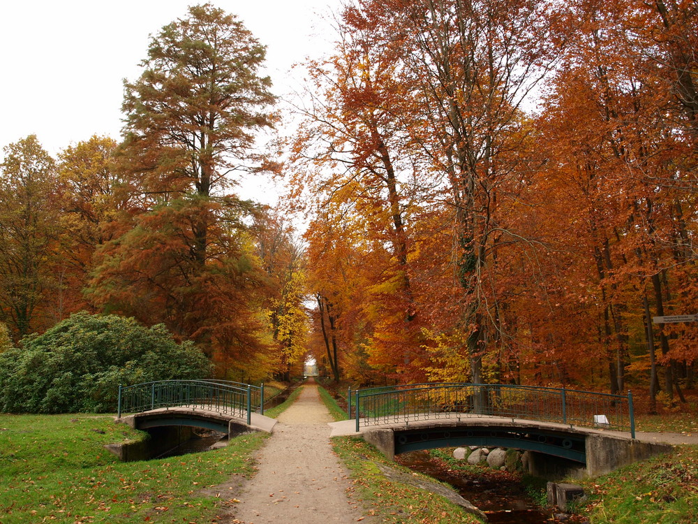 Der Weg in den Herbst?