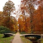 Der Weg in den Herbst?