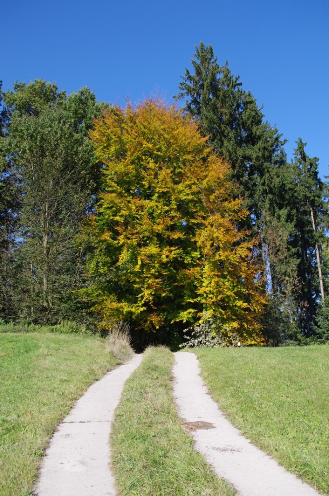 Der Weg in den Herbst