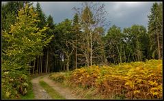 Der Weg in den Herbst