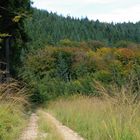 Der Weg in den Herbst