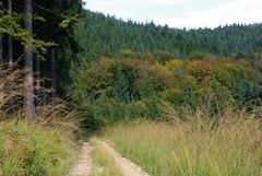 Der Weg in den Herbst