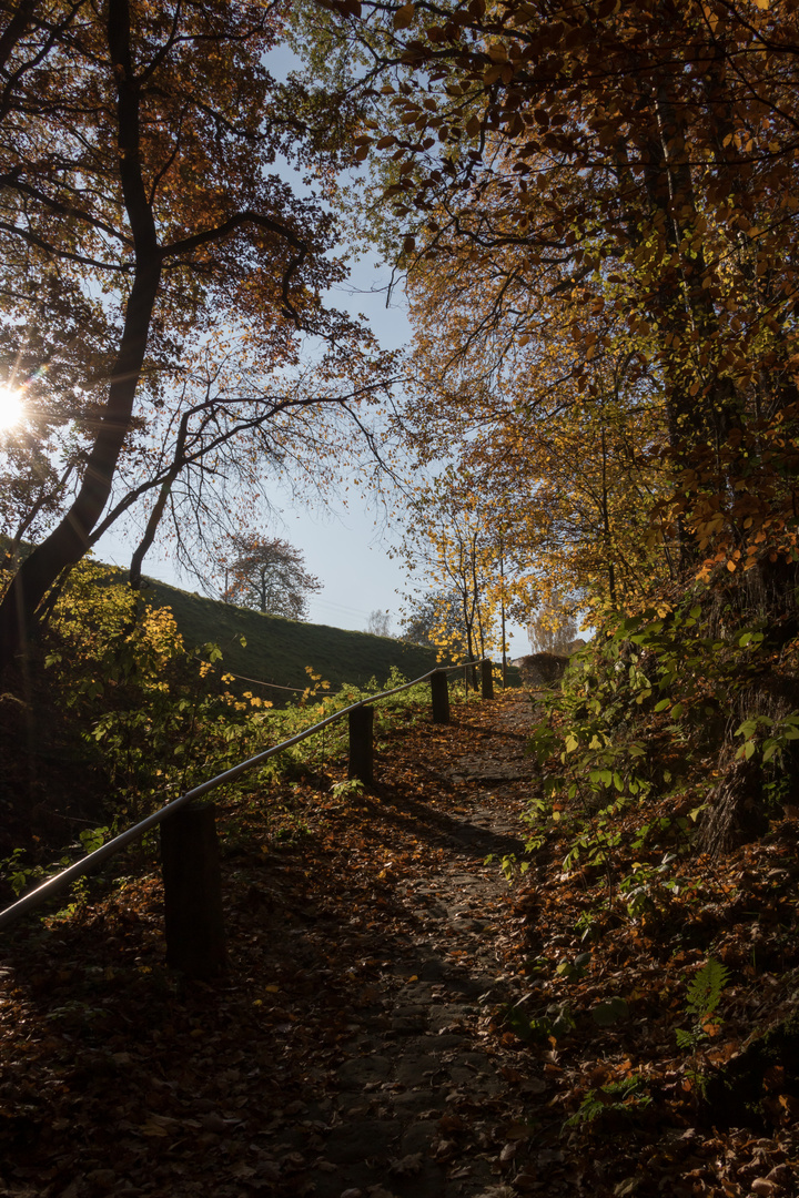 der Weg in den Herbst