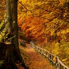 der Weg in den Herbst