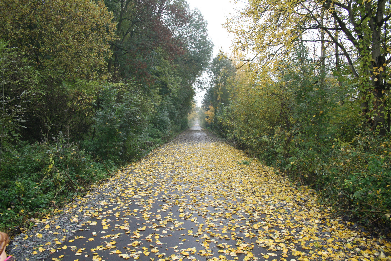 Der Weg in den Herbst