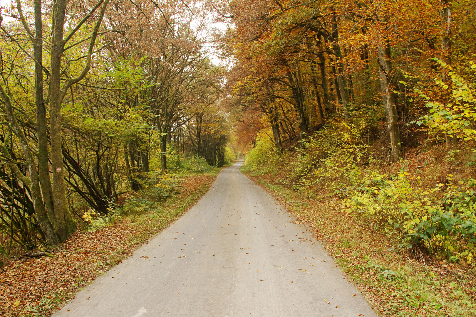 Der Weg in den Herbst gesehen bei Langenprozelten