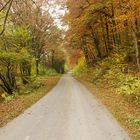 Der Weg in den Herbst gesehen bei Langenprozelten