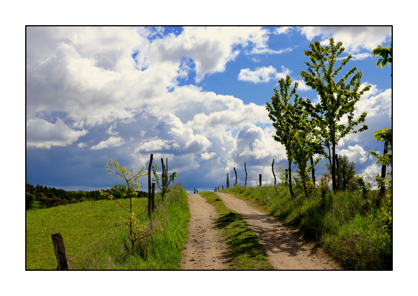 ... Der Weg in den Himmel ...