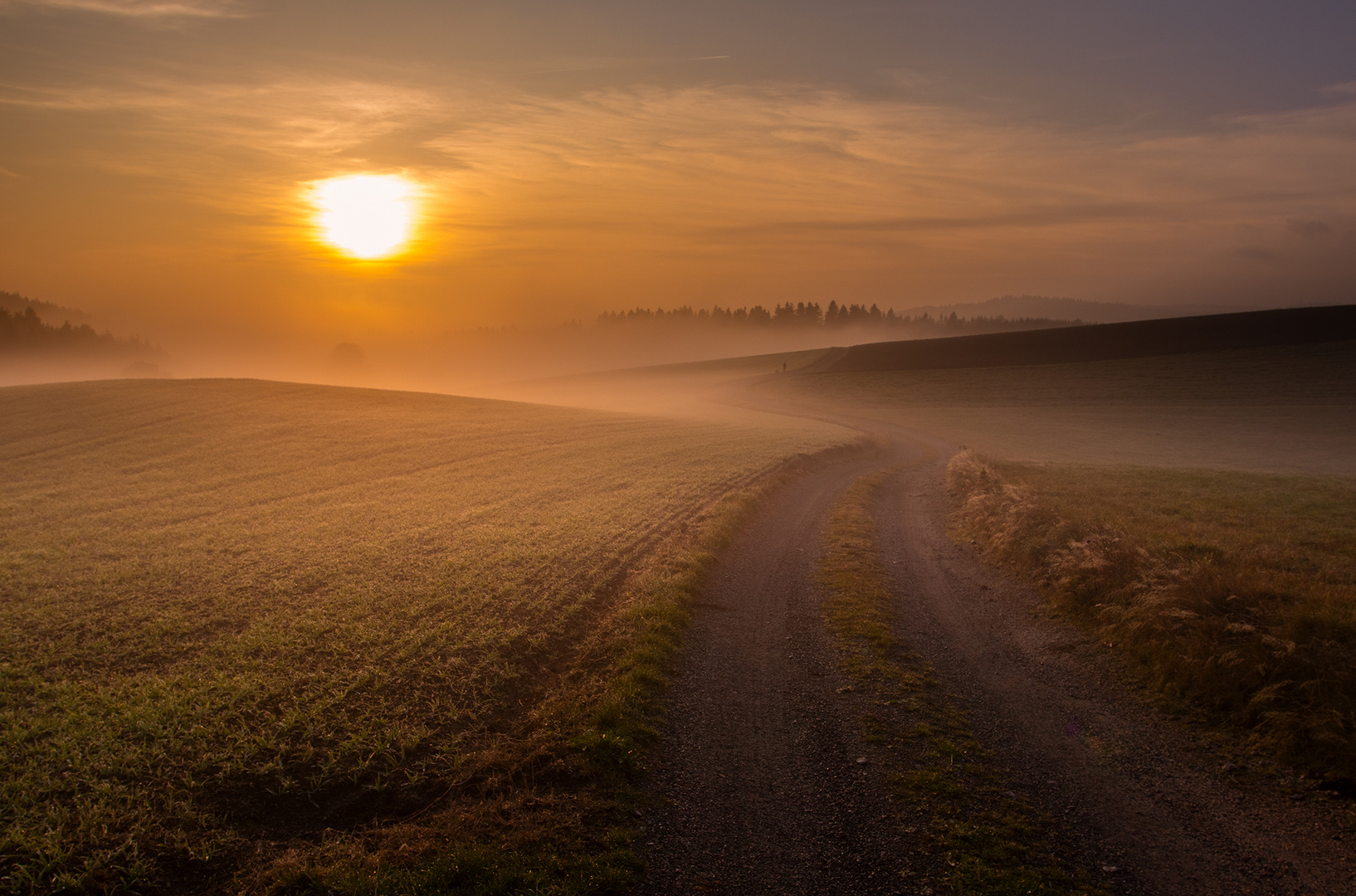 ... der Weg in den Morgen ...