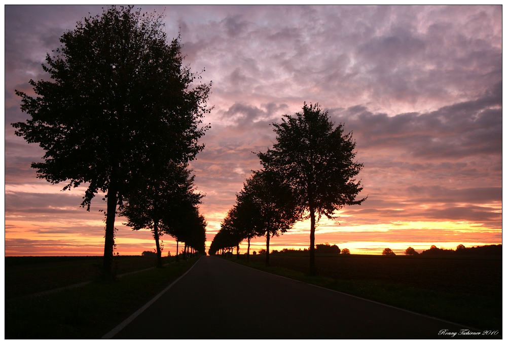 Der Weg in den Morgen