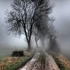 Der Weg in den Nebel