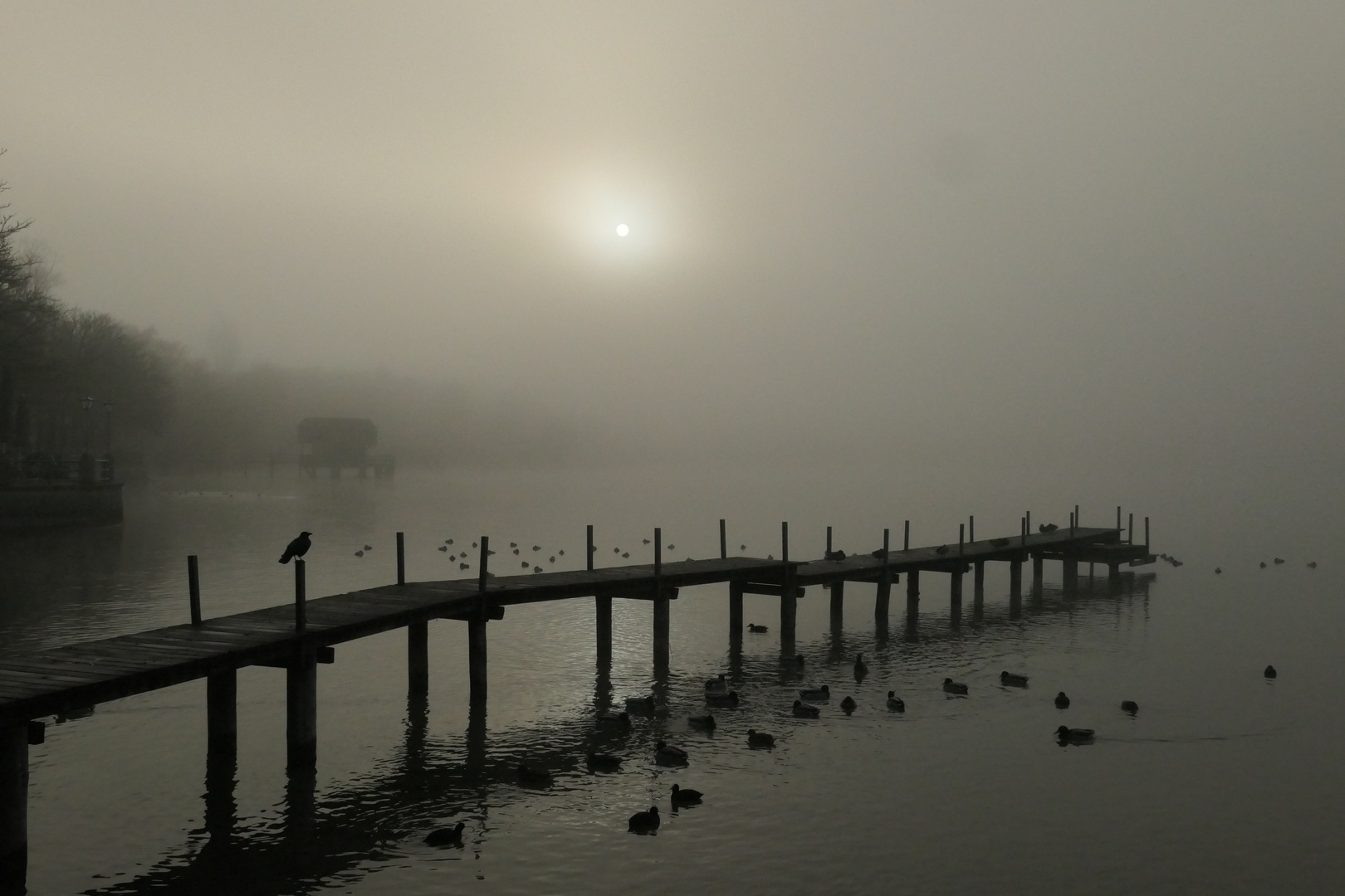 Der Weg in den Nebel