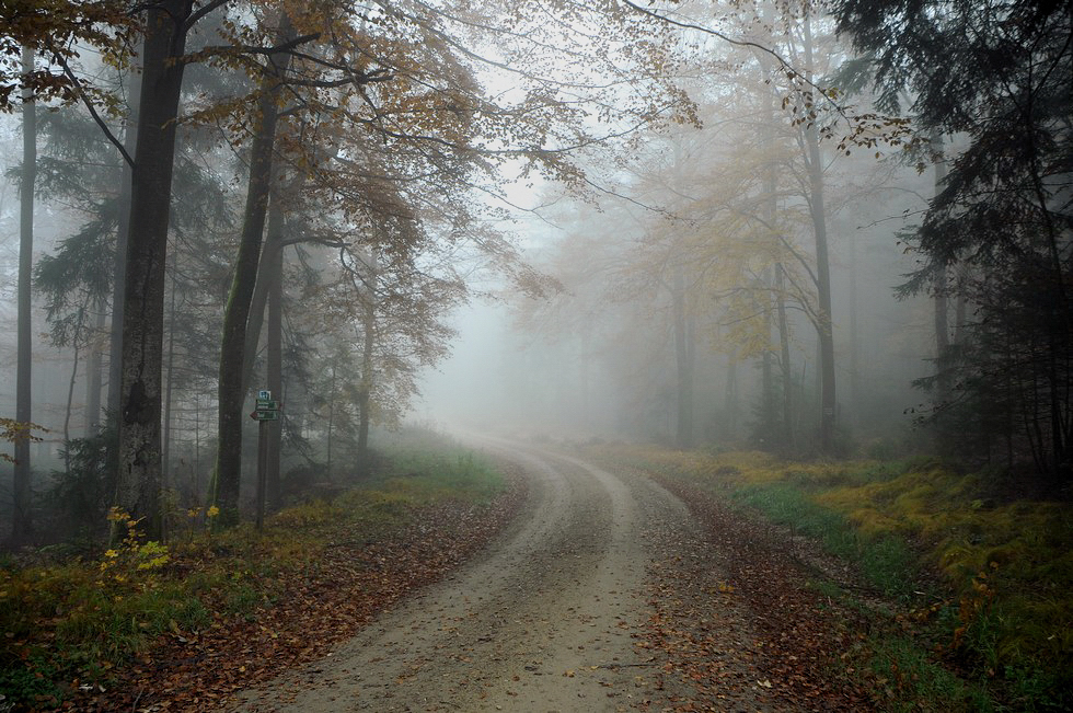 Der Weg in den Nebel