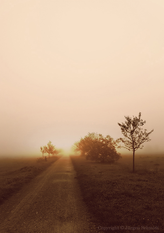 Der Weg in den Nebel