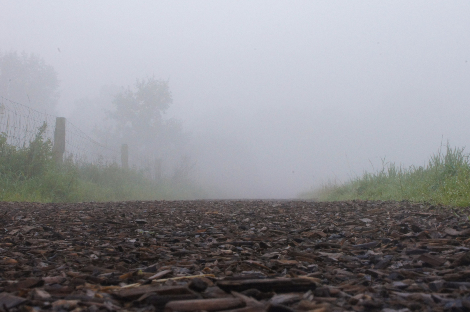 Der Weg in den Nebel