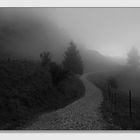 Der Weg in den Nebel